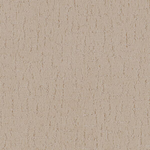 Desert Dune