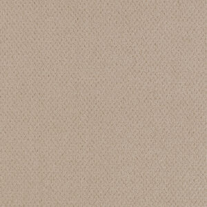 Desert Dune