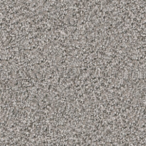 Paver