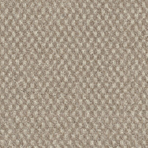 neutral-2